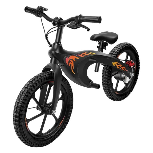 Aluminum Adult Electric Bike